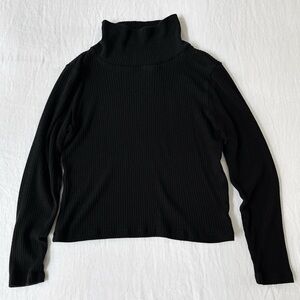 Aritzia Babaton Black Ribbed Turtleneck